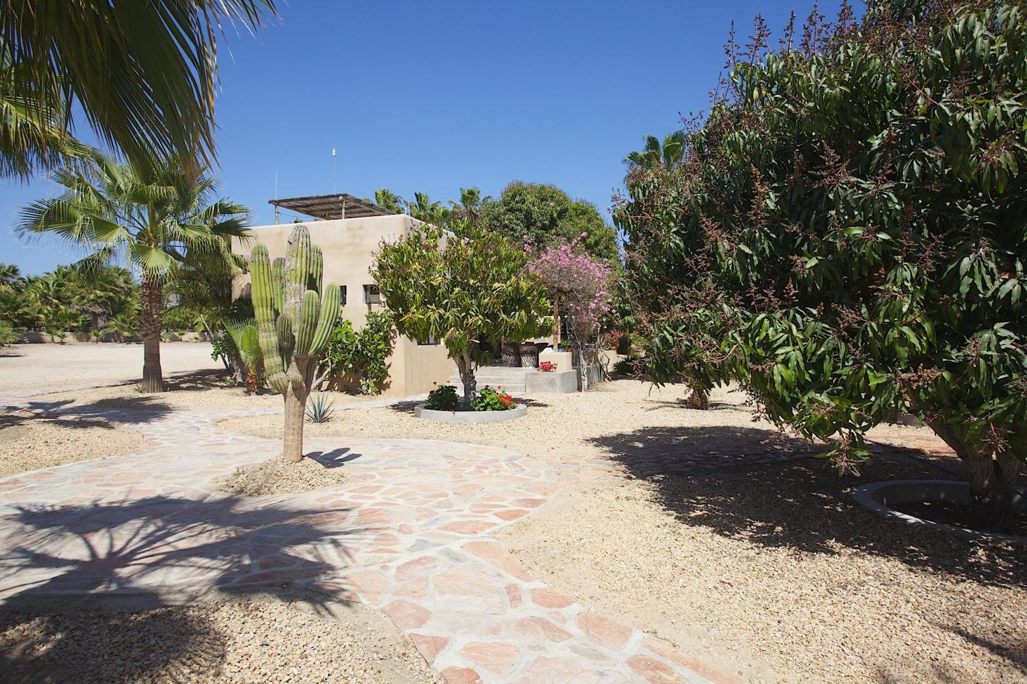 Sole Caliente Villa Todos Santos Eksteriør billede