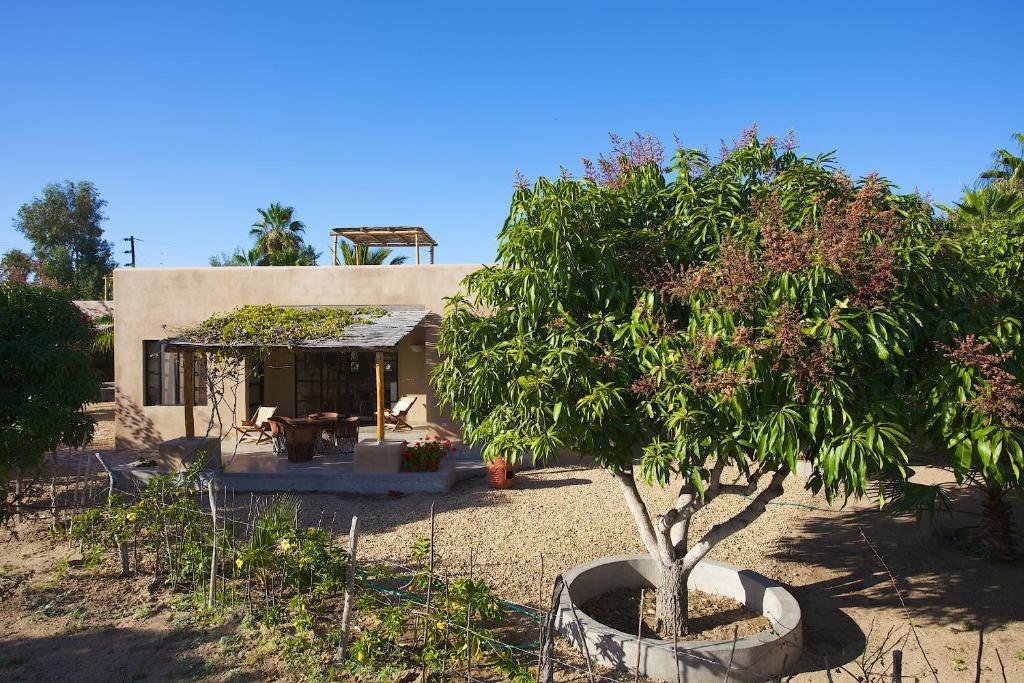 Sole Caliente Villa Todos Santos Eksteriør billede