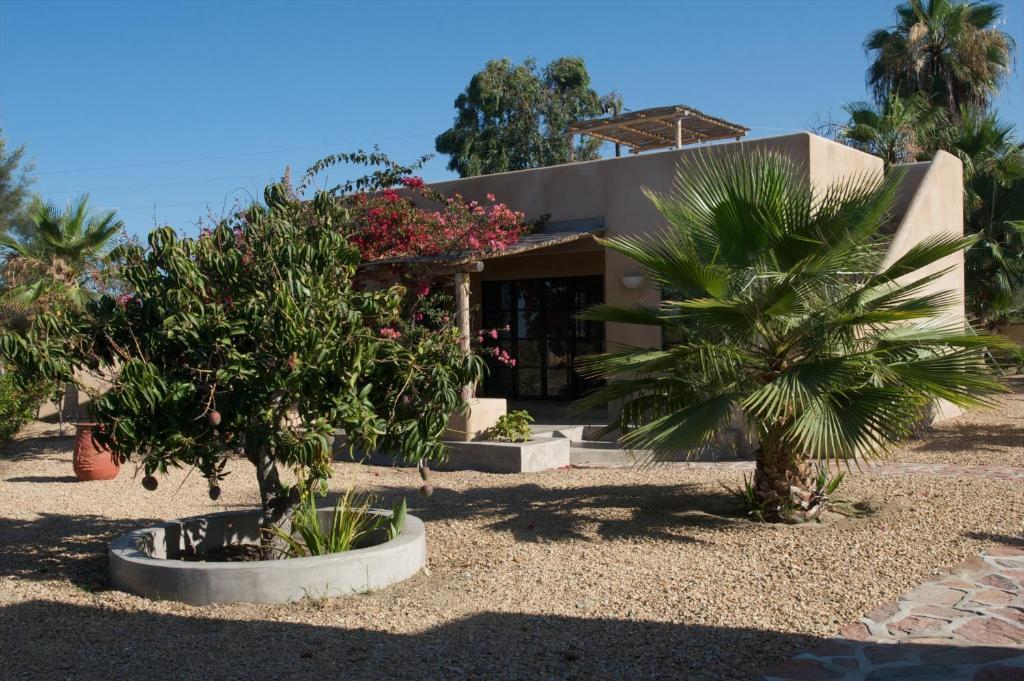 Sole Caliente Villa Todos Santos Eksteriør billede