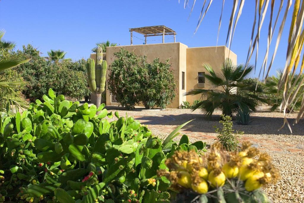 Sole Caliente Villa Todos Santos Eksteriør billede