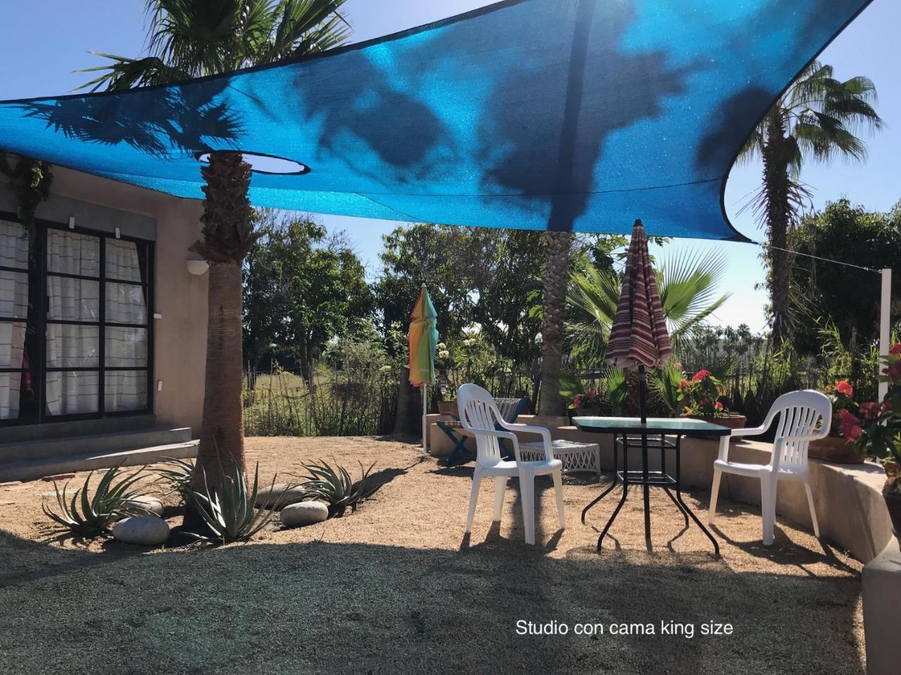 Sole Caliente Villa Todos Santos Eksteriør billede