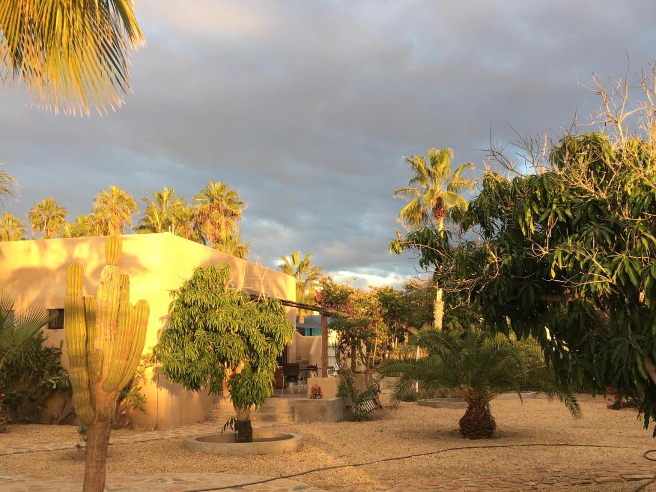 Sole Caliente Villa Todos Santos Eksteriør billede